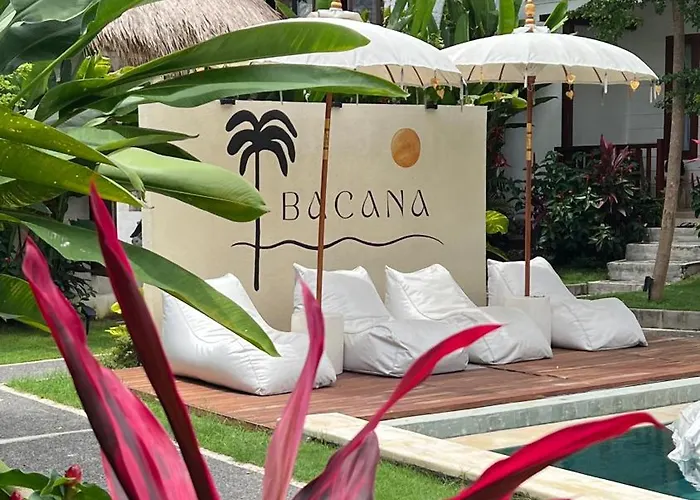 Bacana 4*